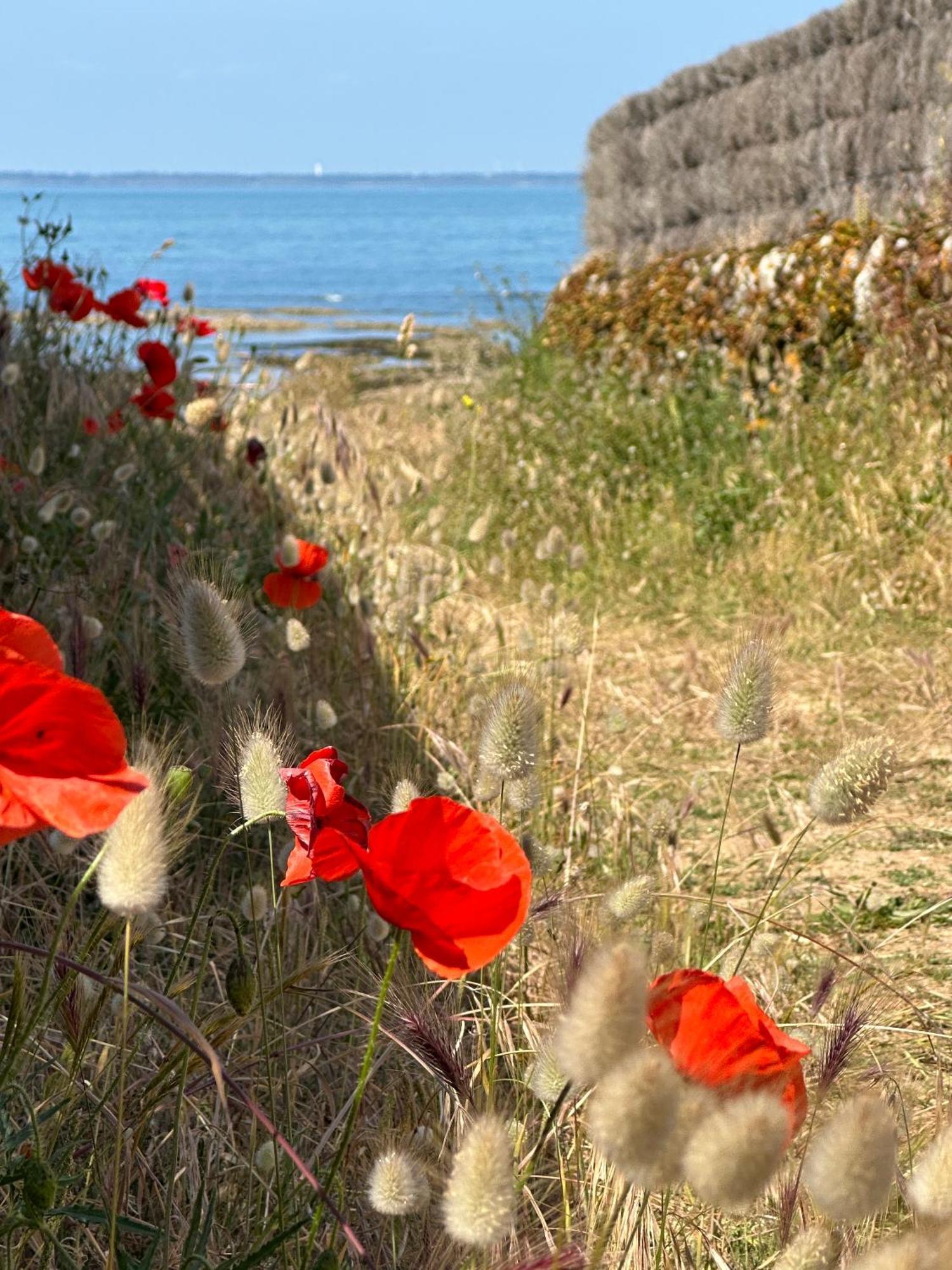 Villa "Mignon" Avec Studio Independant, Tout A Pied, Plage A 4 Mn, 6 Pers, 2 Sde Saint-Jean-de-Monts Luaran gambar